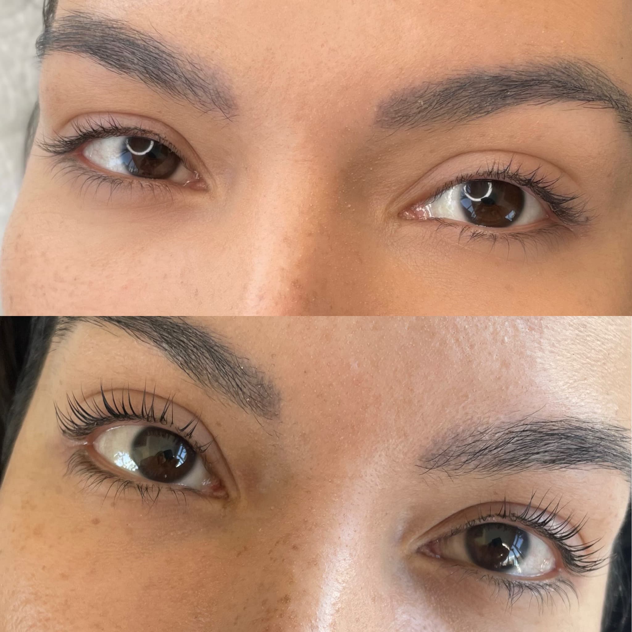 Lash extensions portfolio - Defined lash lift with glossy finish. in San Diego