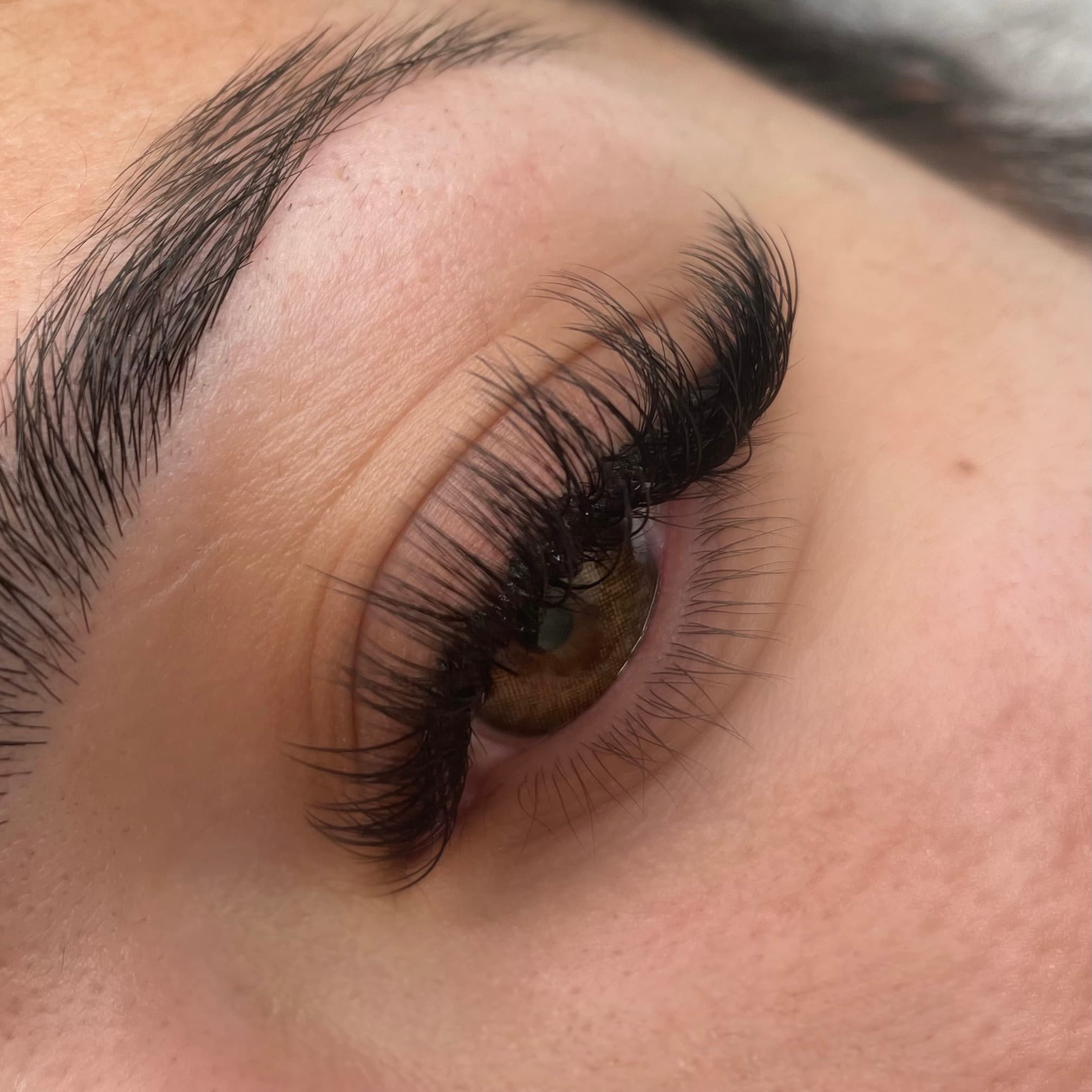 Lash extensions portfolio - Volume set with clean, defined fans. in San Diego